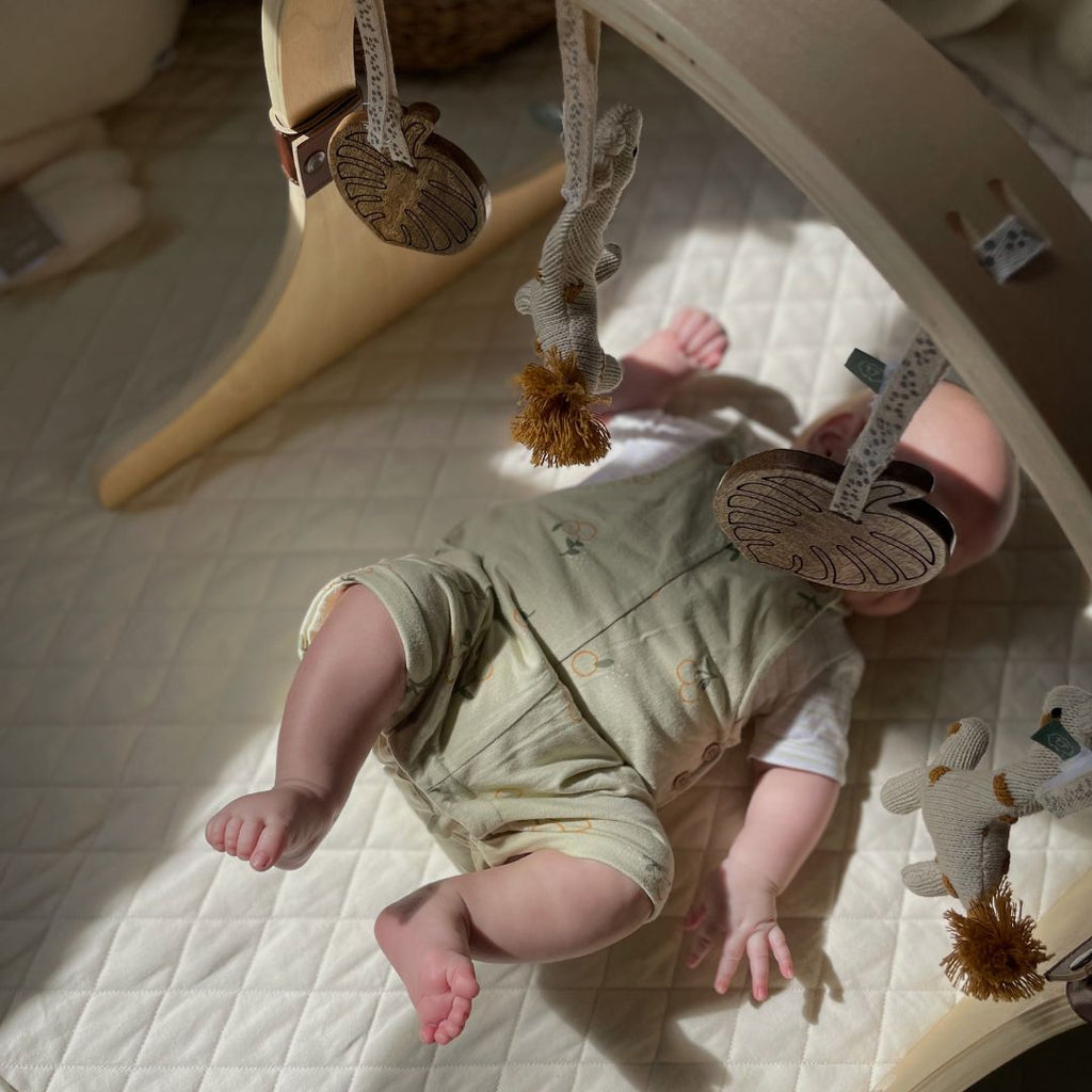 Curved Wooden Baby Play Gym & Charms Set Jungle
