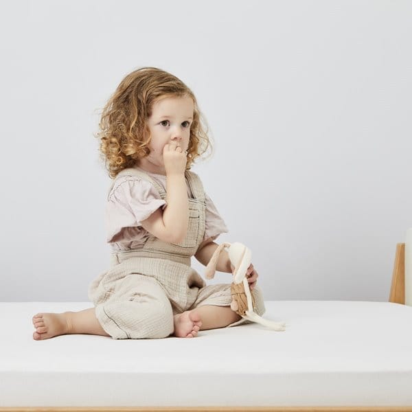 Organic Single Jersey Fitted Sheet 90x190cm