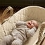 Little Green Sheep Moses Basket & Mattress Organic Floral Quilt Moses Basket & Mattress