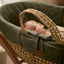 Little Green Sheep Moses Basket, Mattress & Stand Organic Dimple Quilted Moses Basket & Mattress Juniper