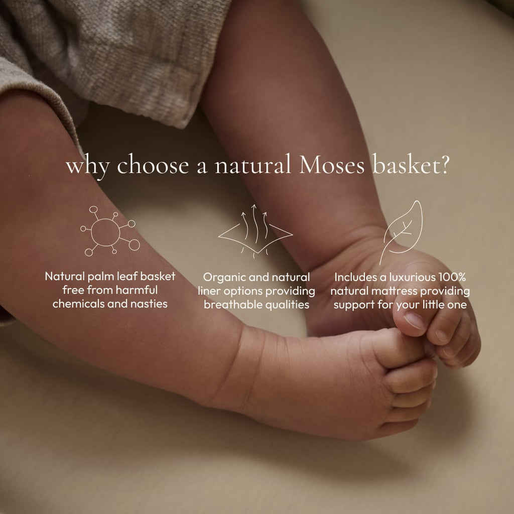 Little Green Sheep Moses Basket, Mattress & Stand Organic Knitted Moses Basket, Mattress & Walnut Rocking Stand Truffle