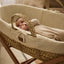 Little Green Sheep Moses Basket, Mattress & Stand Organic Wheat Knitted Moses Basket, Mattress & Walnut Rocking Stand Linen