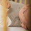 Little Green Sheep Sleeping Bags Organic Quilted Baby Sleeping Bag in Truffle with Cocoa - 2.5 Tog
